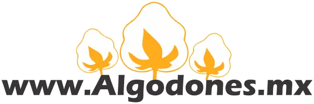 algodones.mx — The Dental Capital of the World