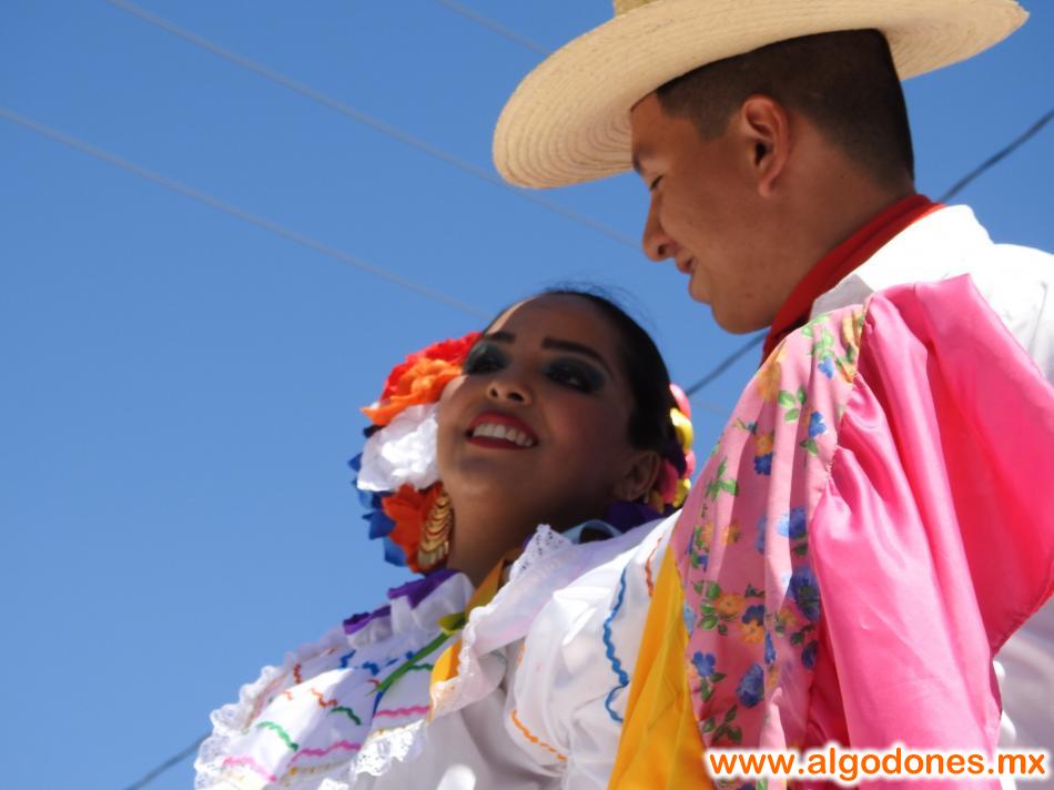 Spring Party 2017 Los Algodones Mexico