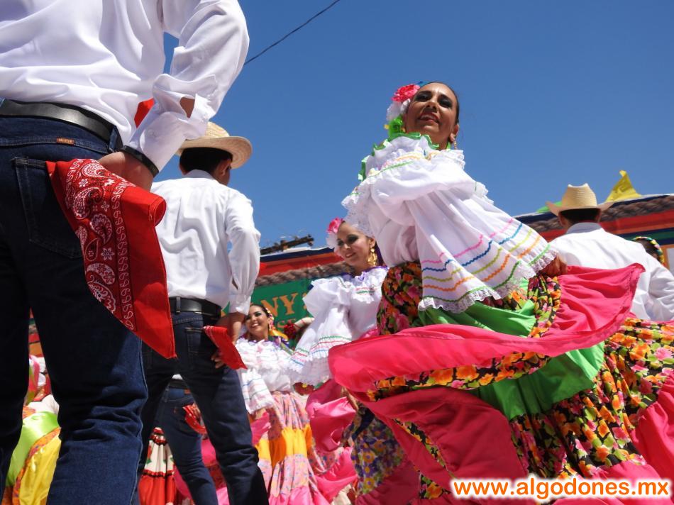 Spring Party 2017 Los Algodones Mexico